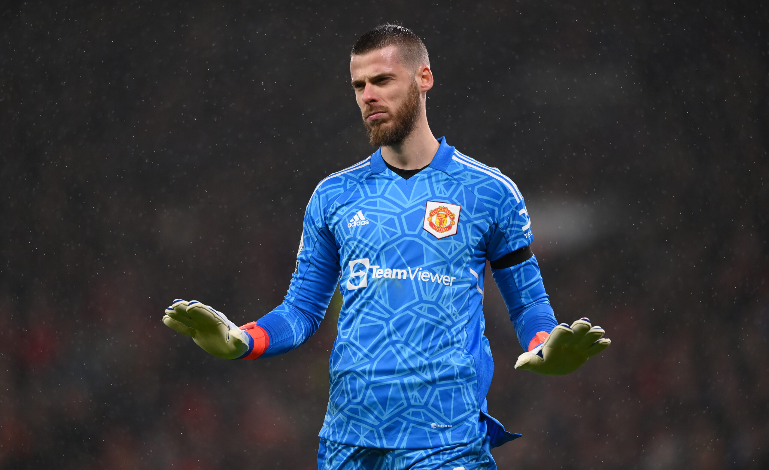 David de Gea