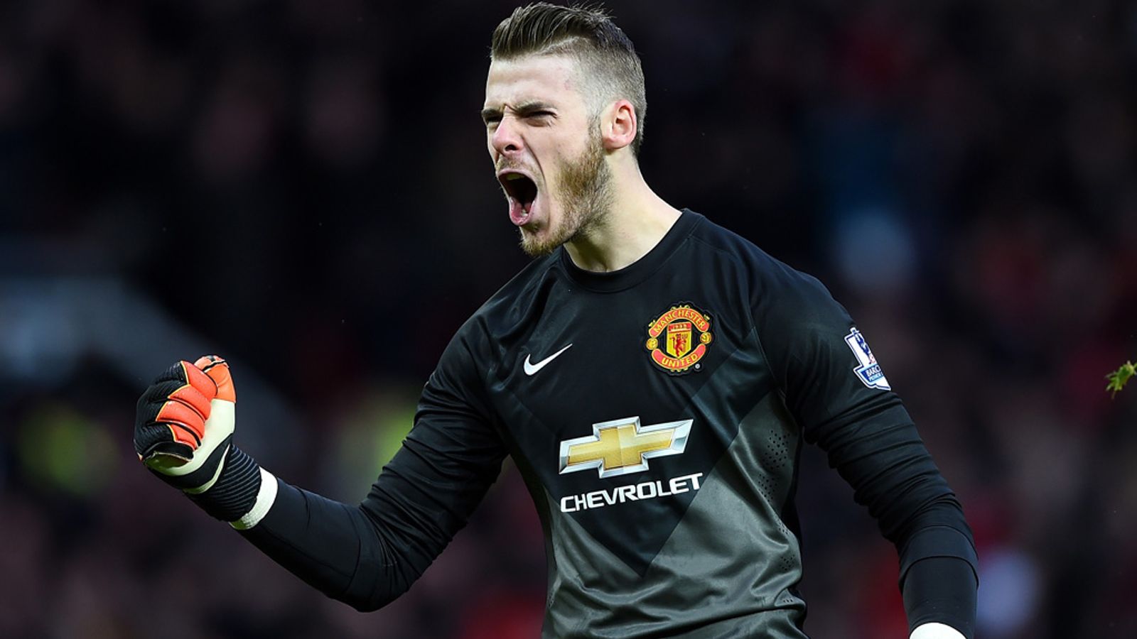 David de Gea