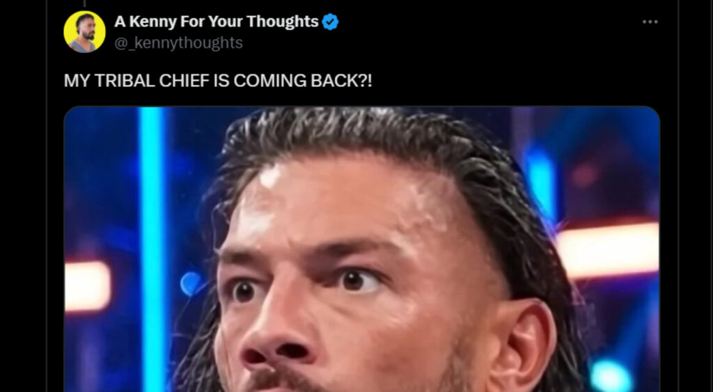 Fan's reaction on Roman Reigns' return